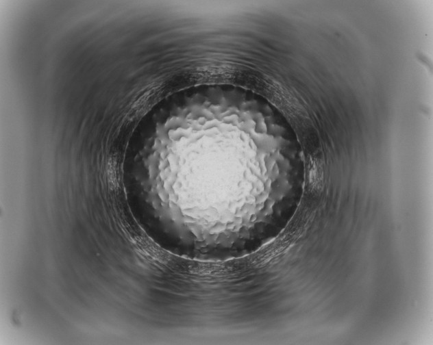 X0000097300819200802151436