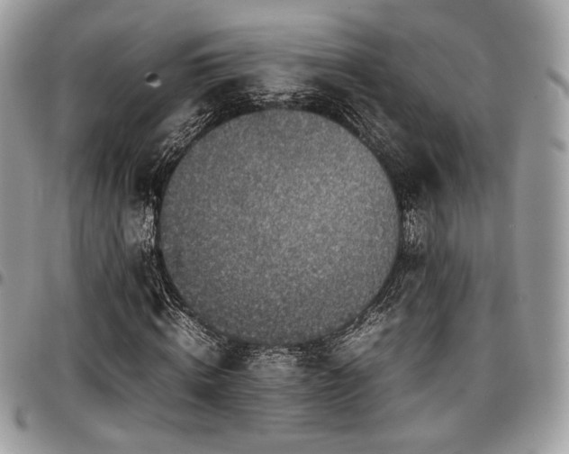 X0000097300820200802151436