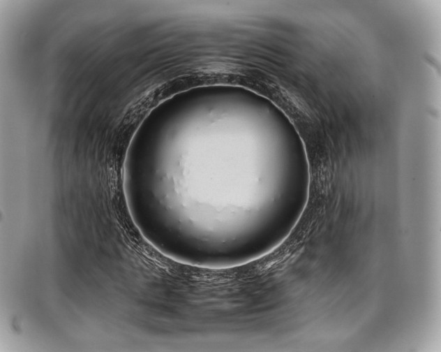 X0000097300821200802151436