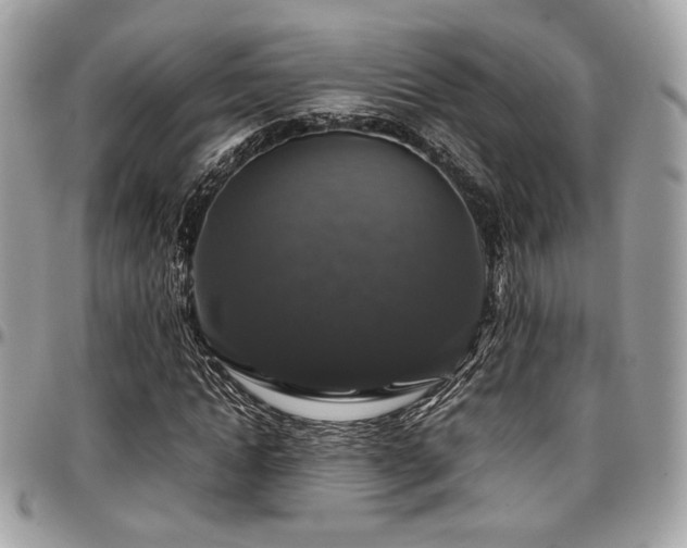 X0000097300822200802151436