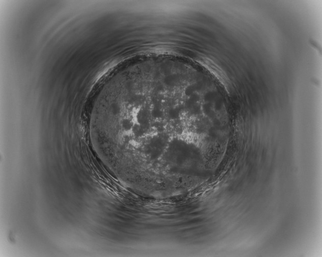 X0000097300823200802151436