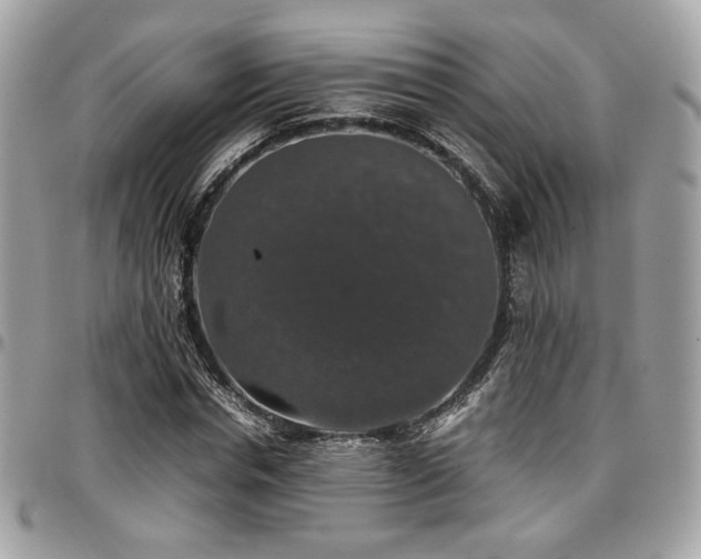 X0000097300826200802151436