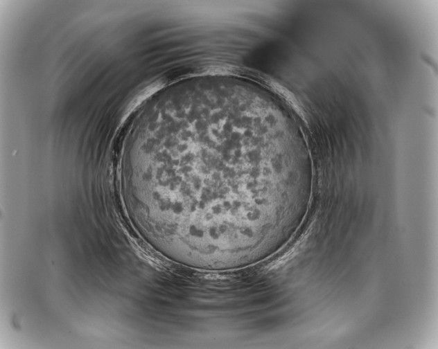 X0000097300827200802151436