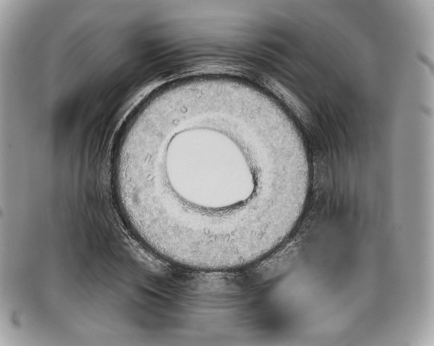 X0000097300828200802151436