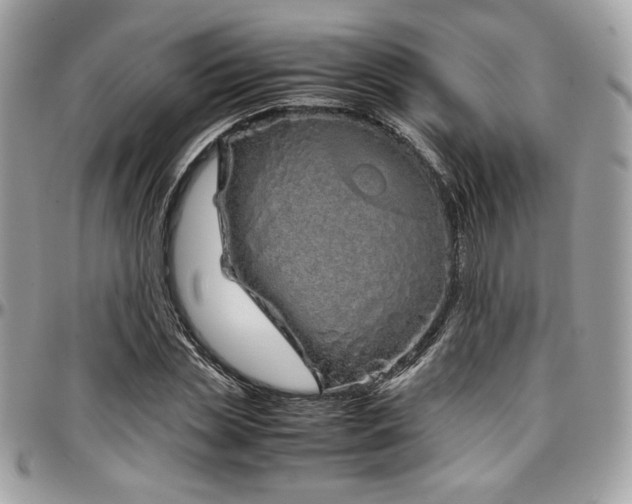 X0000097300829200802151436