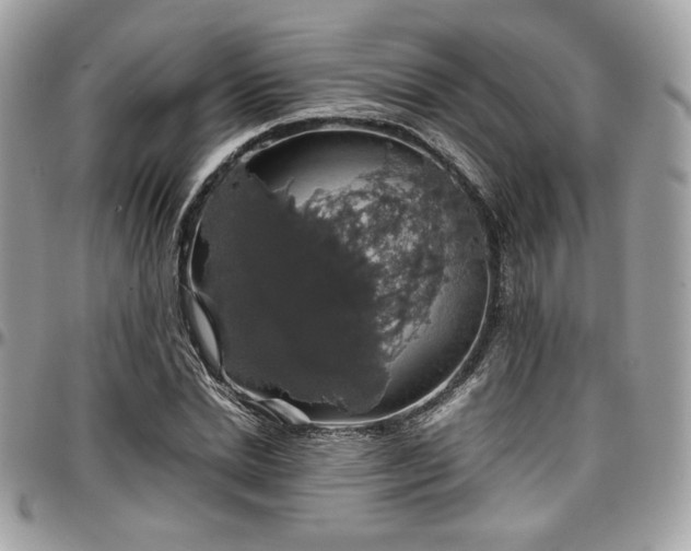 X0000097300830200802151436