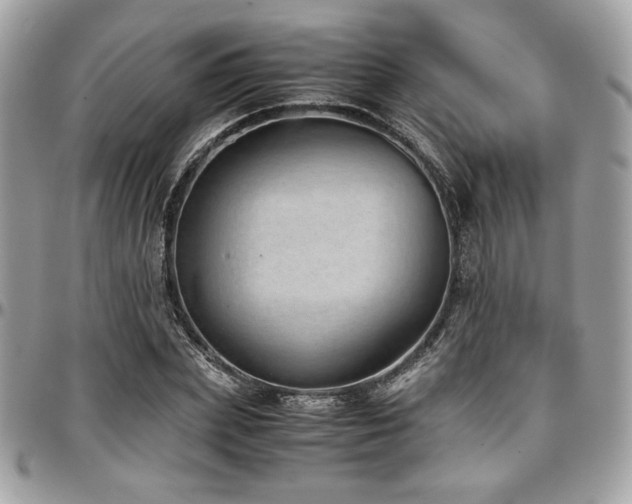 X0000097300831200802151436