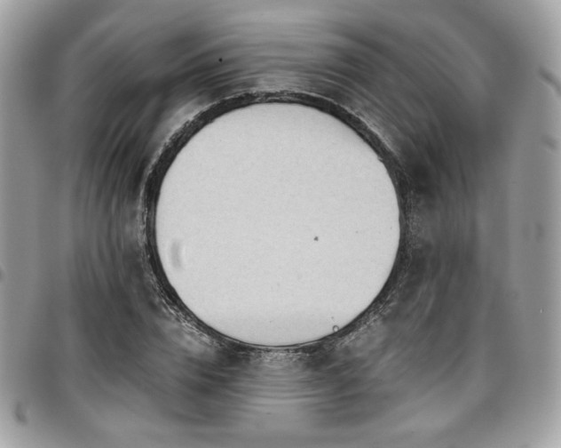 X0000097300832200802151436