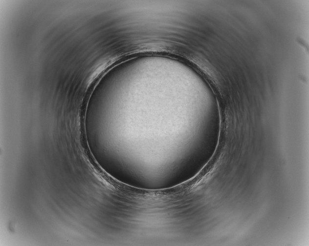X0000097300834200802151436