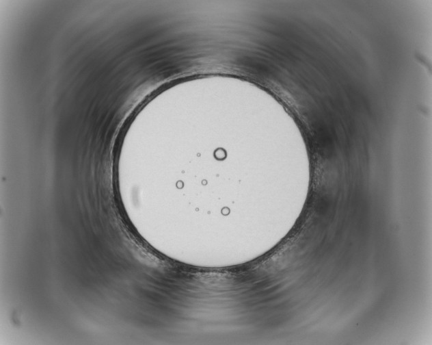 X0000097300836200802151436