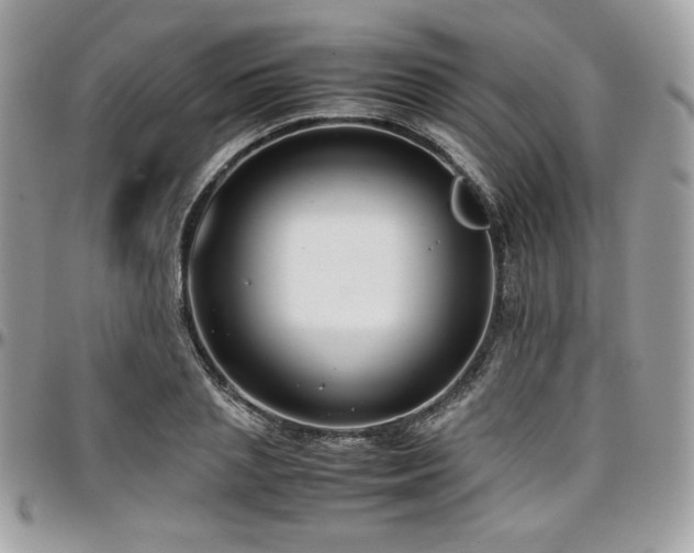 X0000097300837200802151436