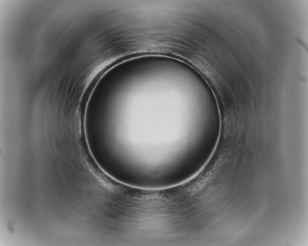 X0000097300838200802151436