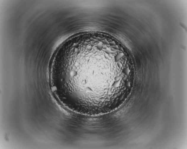 X0000097300839200802151436