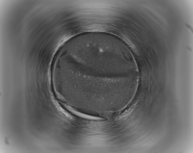 X0000097300840200802151436