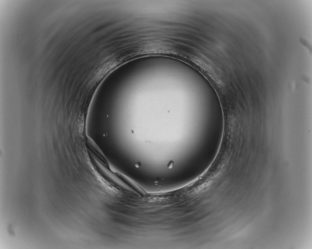 X0000097300841200802151436