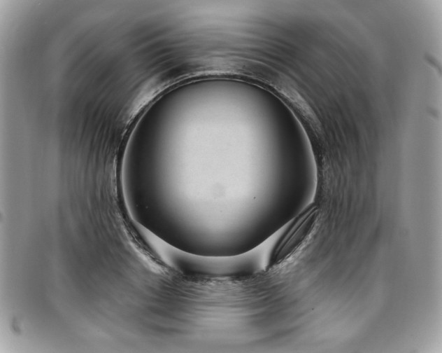 X0000097300842200802151436