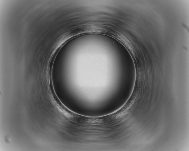 X0000097300843200802151436
