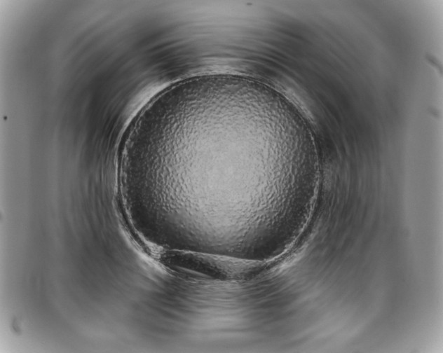 X0000097300844200802151436