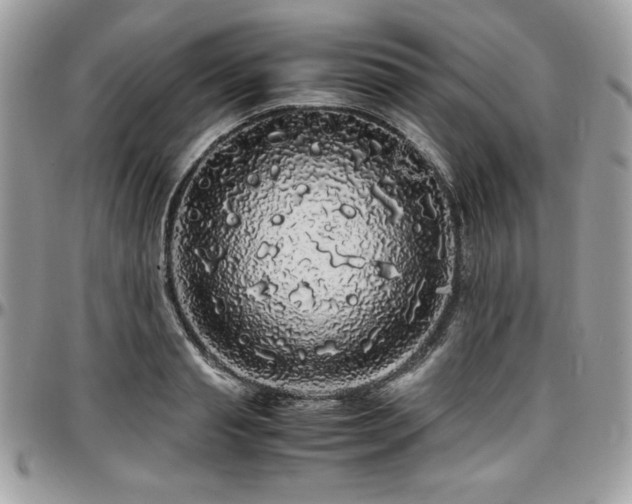 X0000097300845200802151436