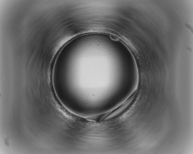 X0000097300846200802151436