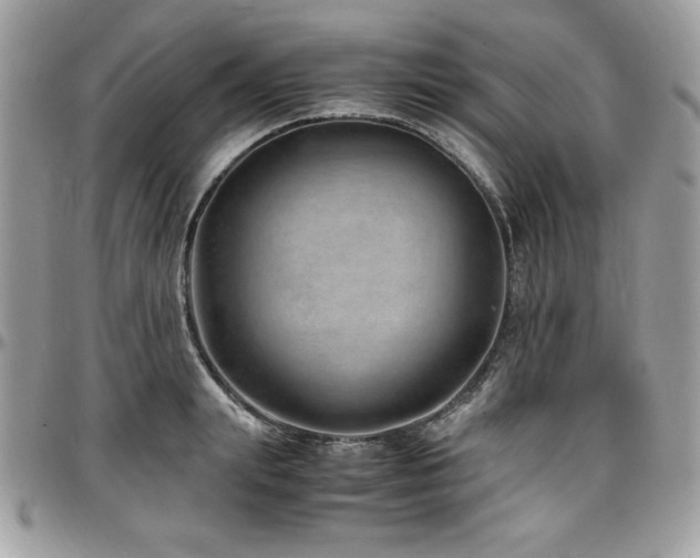 X0000097300847200802151436