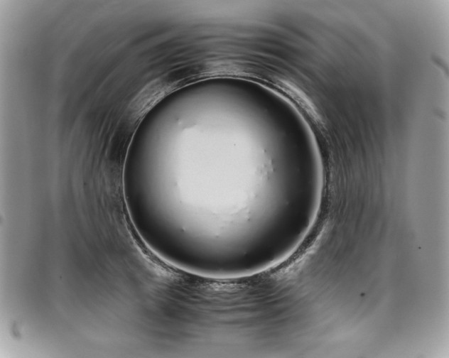 X0000097300849200802151436