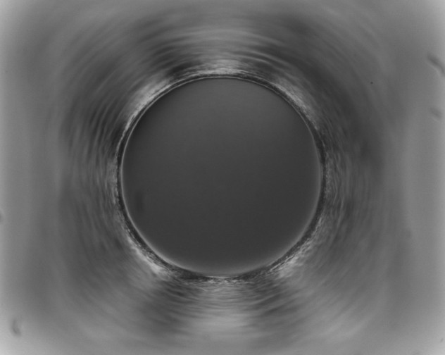X0000097300850200802151436