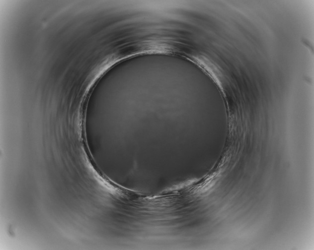 X0000097300851200802151436