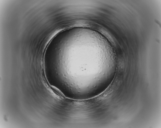 X0000097300852200802151436