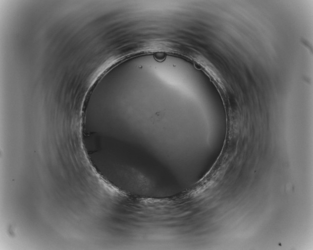 X0000097300853200802151436