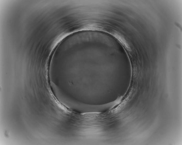 X0000097300854200802151436