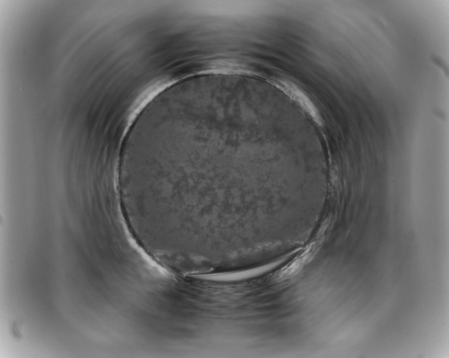 X0000097300855200802151436