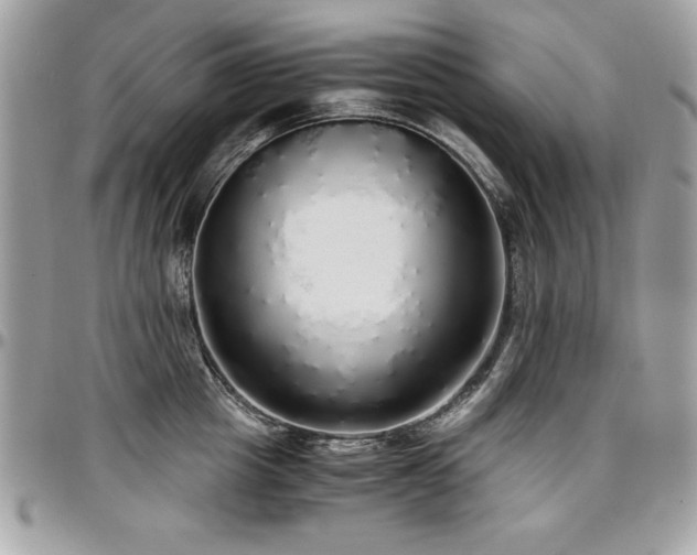X0000097300857200802151436