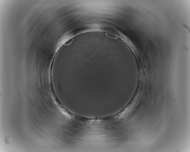 X0000097300858200802151436