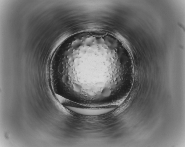 X0000097300859200802151436