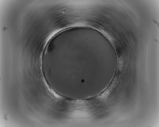 X0000097300862200802151436