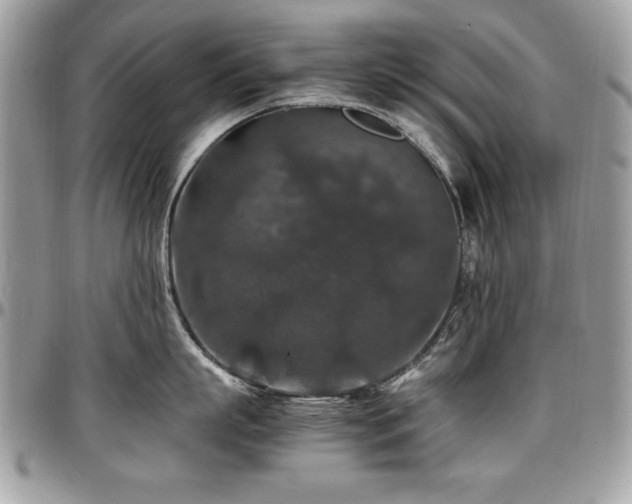 X0000097300863200802151437