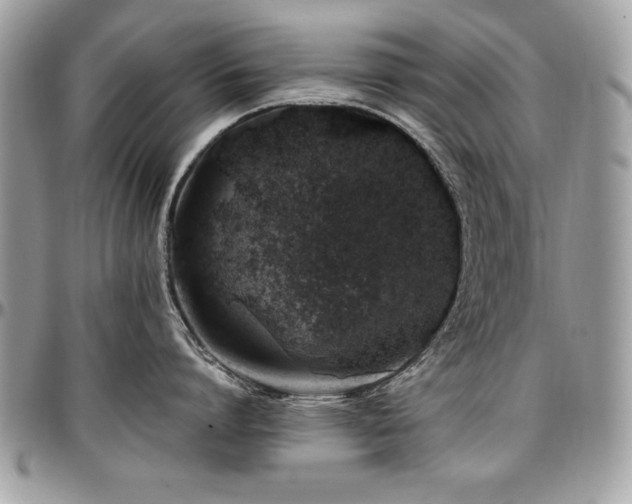 X0000097300864200802151437