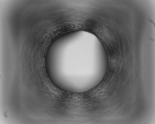 X0000097300865200802151436