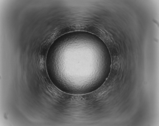 X0000097300866200802151436