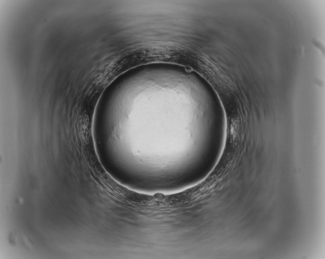 X0000097300867200802151436