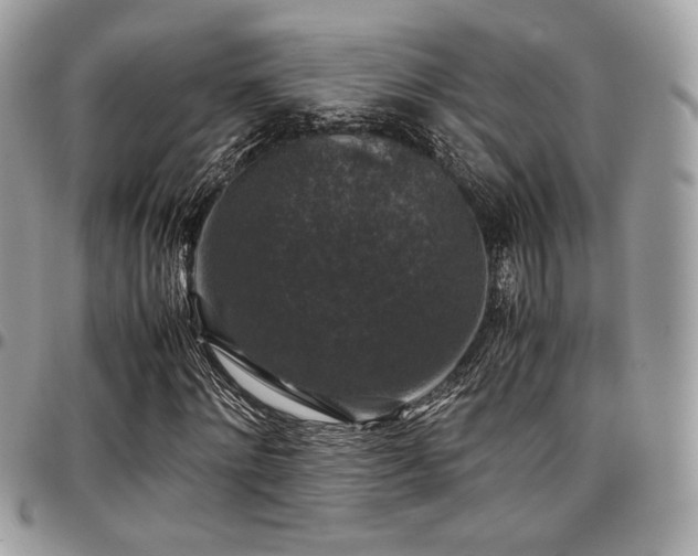 X0000097300868200802151436