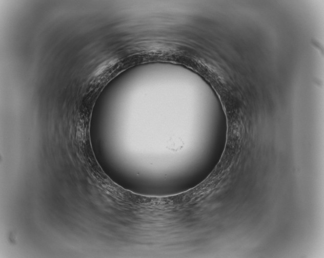 X0000097300869200802151436