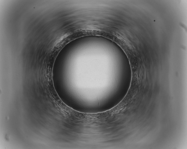 X0000097300870200802151436