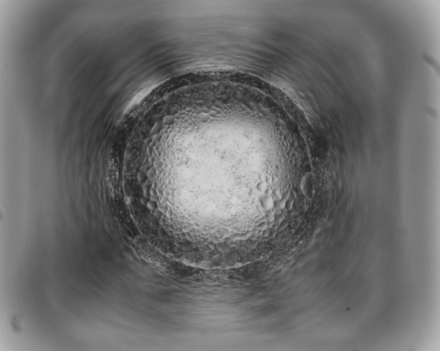 X0000097300871200802151436