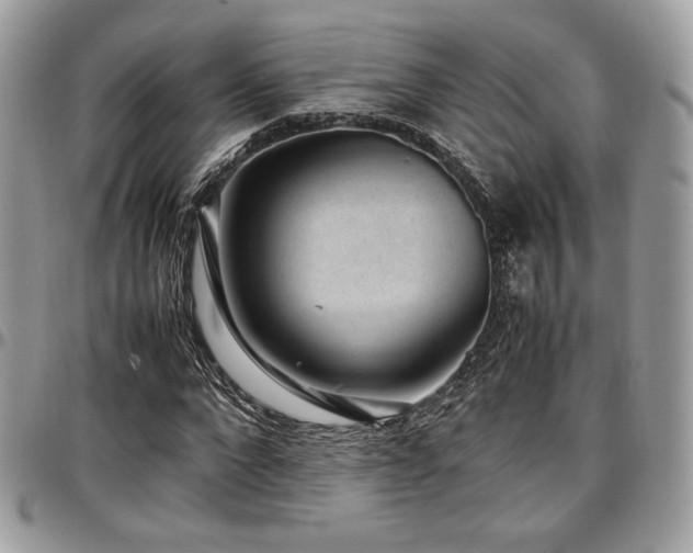 X0000097300872200802151436