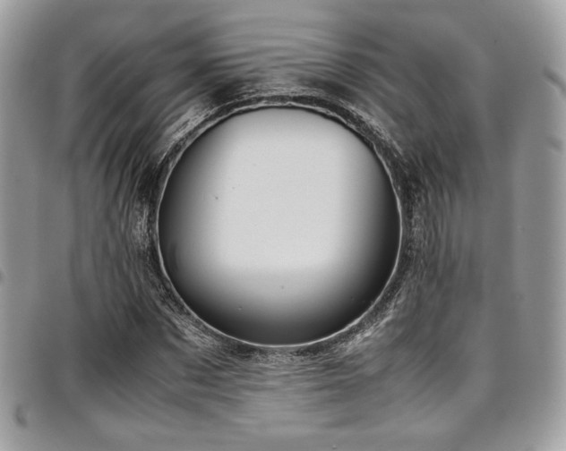 X0000097300873200802151436