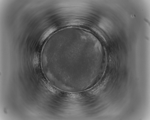 X0000097300874200802151436