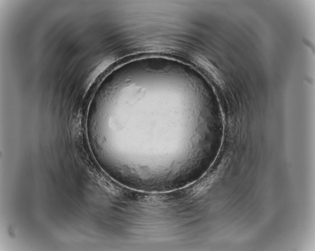 X0000097300875200802151436