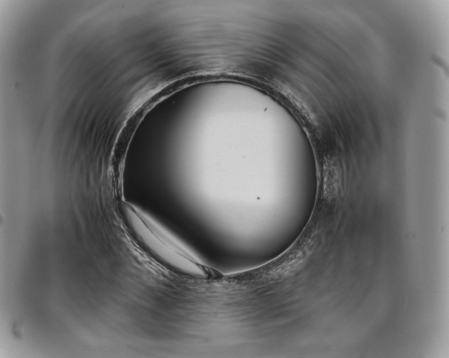 X0000097300876200802151436